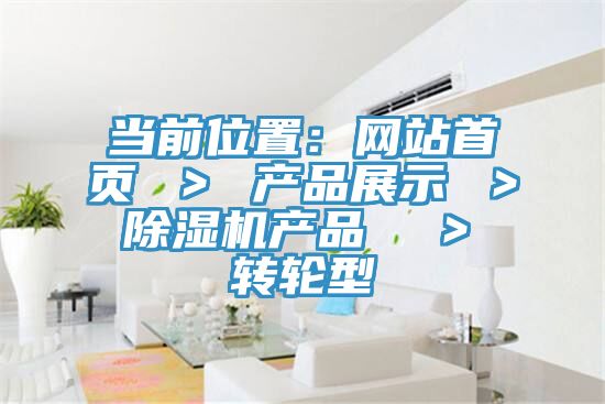 当前位置：网站首页 ＞ 产品展示 ＞ 粉色应用黄色软件产品  ＞ 转轮型
