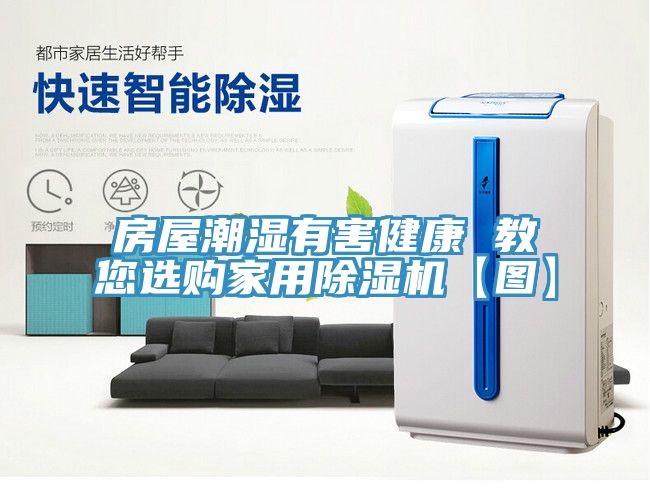 房屋潮湿有害健康 教您选购家用粉色应用黄色软件【图】