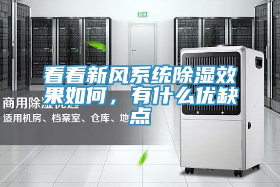 看看新风系统除湿效果如何，有什么优缺点