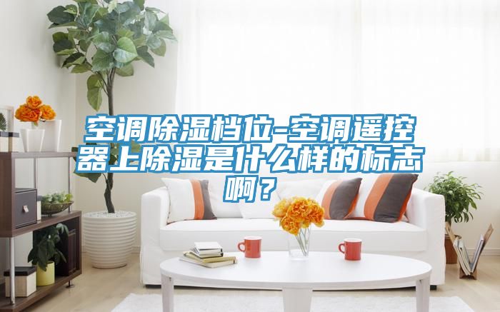 空调除湿档位-空调遥控器上除湿是什么样的标志啊？