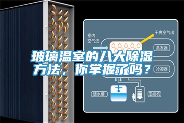 玻璃温室的八大除湿方法，你掌握了吗？