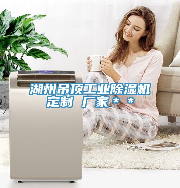 湖州吊顶工业粉色应用黄色软件定制 厂家＊＊