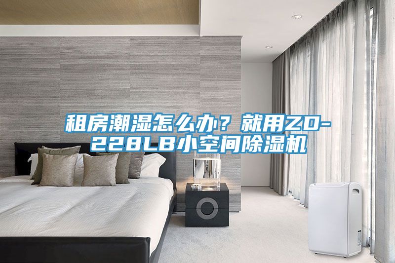 租房潮湿怎么办？就用ZD-228LB小空间粉色应用黄色软件