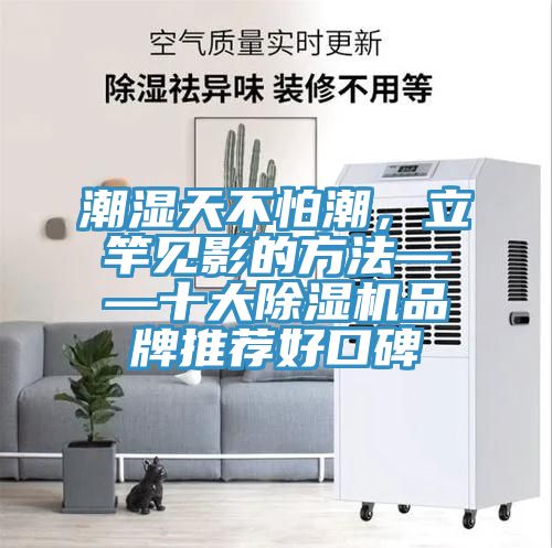 潮湿天不怕潮，立竿见影的方法——十大粉色应用黄色软件品牌推荐好口碑