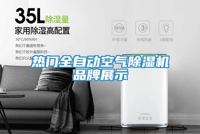 热门全自动空气粉色应用黄色软件品牌展示