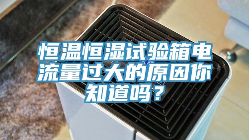 恒温恒湿试验箱电流量过大的原因你知道吗？