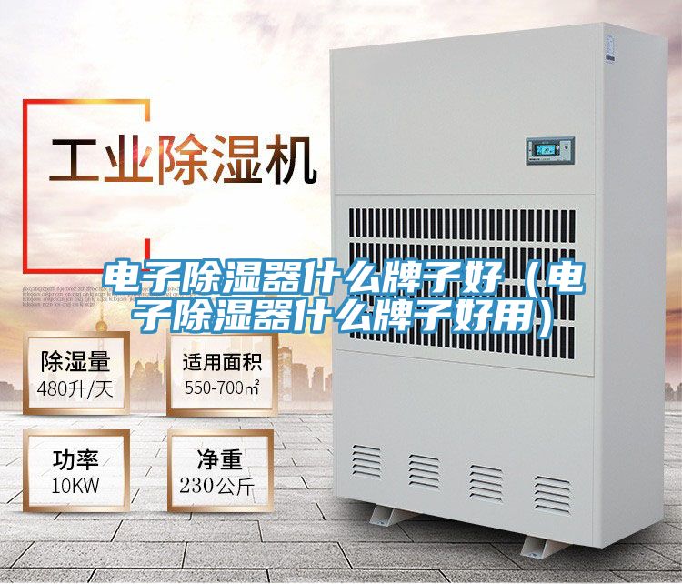 电子除湿器什么牌子好(电子除湿器什么牌子好用)