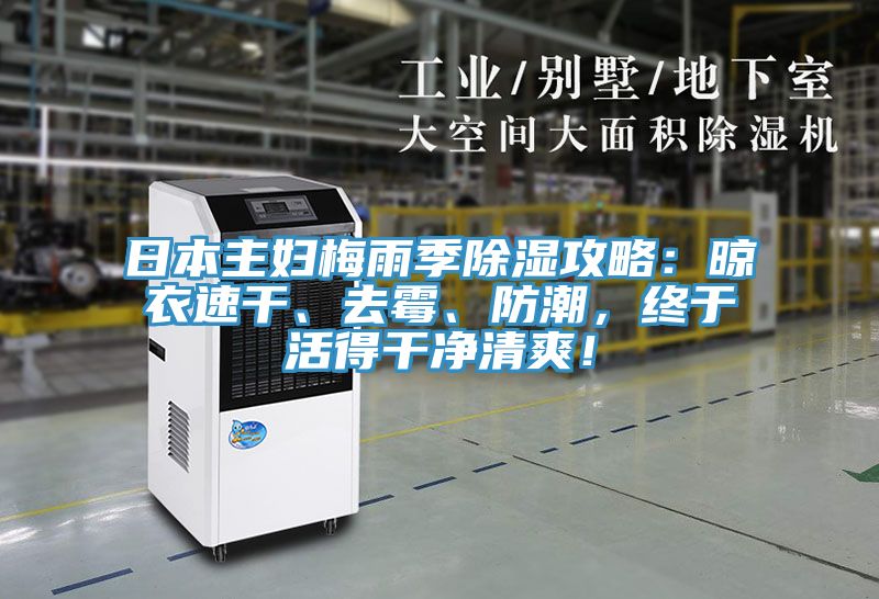 日本主妇梅雨季除湿攻略：晾衣速干、去霉、防潮，终于活得干净清爽！