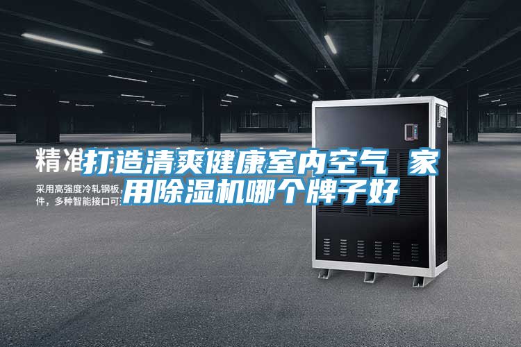 打造清爽健康室内空气 家用粉色应用黄色软件哪个牌子好