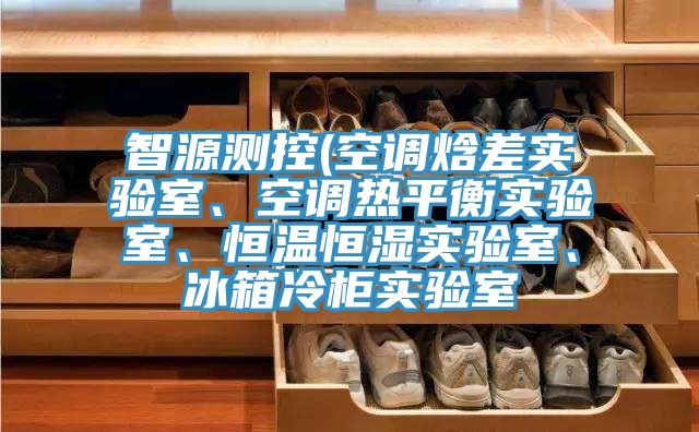 智源测控(空调焓差实验室、空调热平衡实验室、恒温恒湿实验室、冰箱冷柜实验室