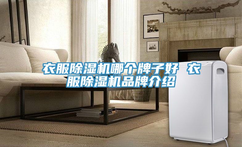 衣服粉色应用黄色软件哪个牌子好 衣服粉色应用黄色软件品牌介绍