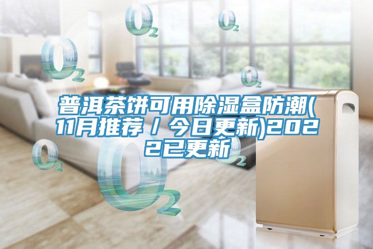 普洱茶饼可用除湿盒防潮(11月推荐/今日更新)2022已更新
