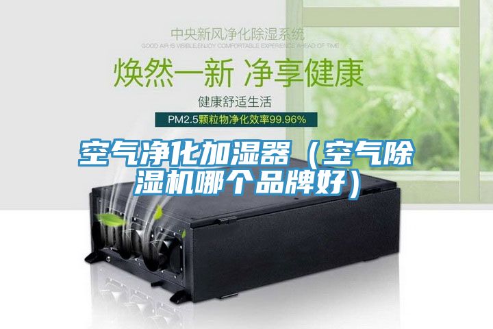 空气净化加湿器(空气粉色应用黄色软件哪个品牌好)