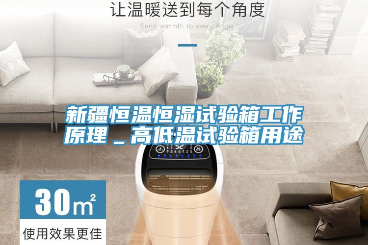 新疆恒温恒湿试验箱工作原理_高低温试验箱用途