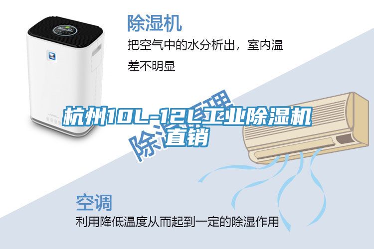 杭州10L-12L工业粉色应用黄色软件直销