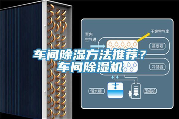 车间除湿方法推荐？车间粉色应用黄色软件