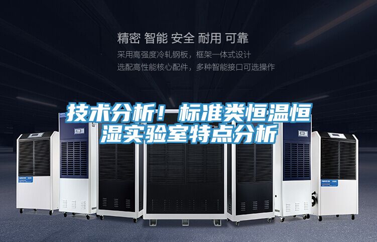 技术分析！标准类恒温恒湿实验室特点分析