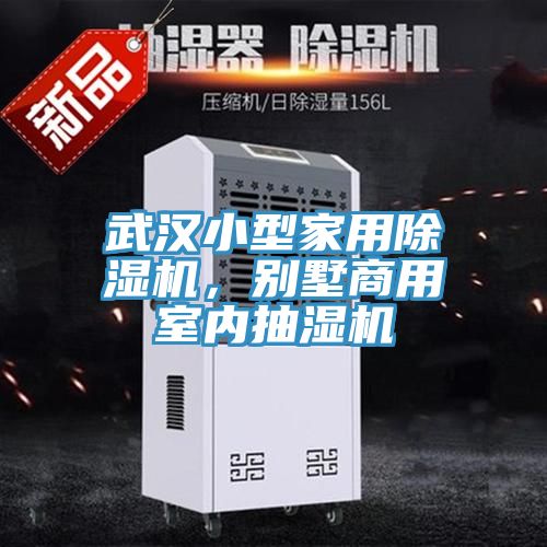 武汉小型家用粉色应用黄色软件，别墅商用室内抽湿机
