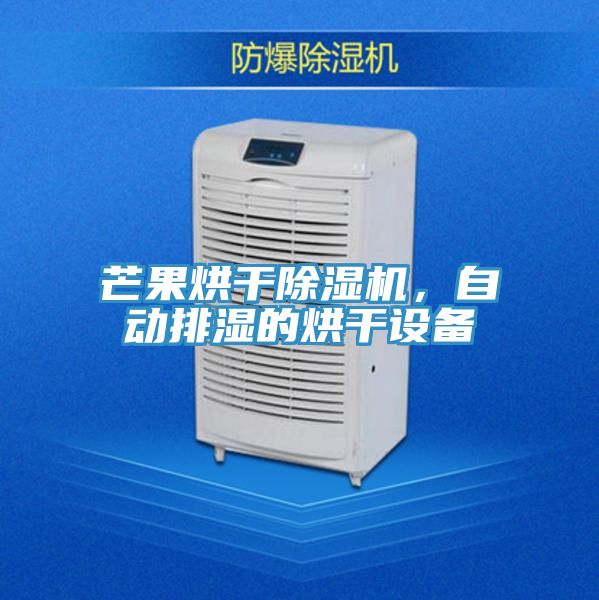 芒果烘干粉色应用黄色软件，自动排湿的烘干设备