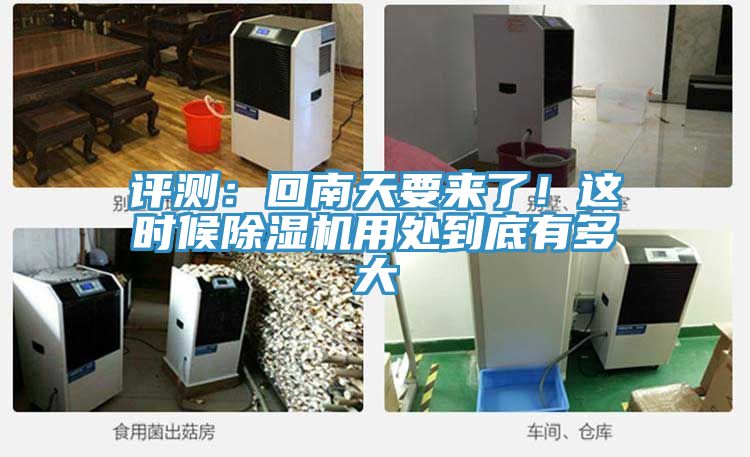 评测：回南天要来了！这时候粉色应用黄色软件用处到底有多大