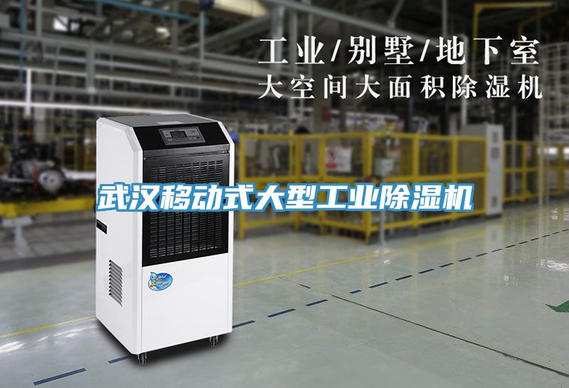 武汉移动式大型工业粉色应用黄色软件