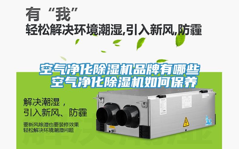 空气净化粉色应用黄色软件品牌有哪些 空气净化粉色应用黄色软件如何保养