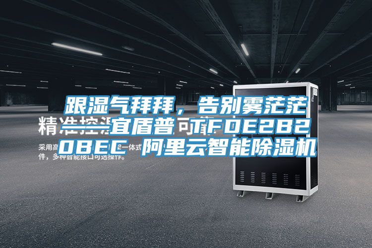 跟湿气拜拜，告别雾茫茫——宜盾普 TFDE2B20BEC 阿里云智能粉色应用黄色软件