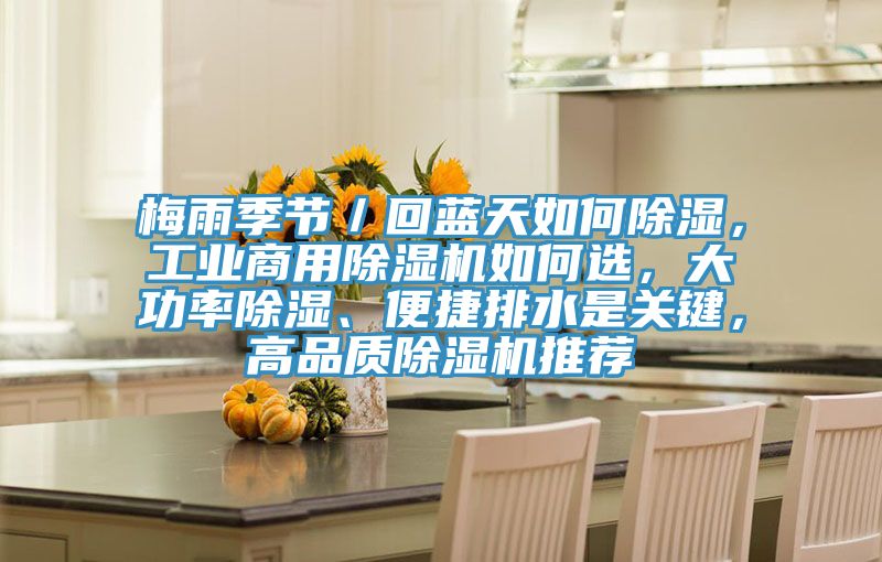 梅雨季节／回蓝天如何除湿，工业商用粉色应用黄色软件如何选，大功率除湿、便捷排水是关键，高品质粉色应用黄色软件推荐