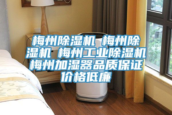 梅州粉色应用黄色软件☆梅州粉色应用黄色软件☆梅州工业粉色应用黄色软件☆梅州加湿器品质保证价格低廉