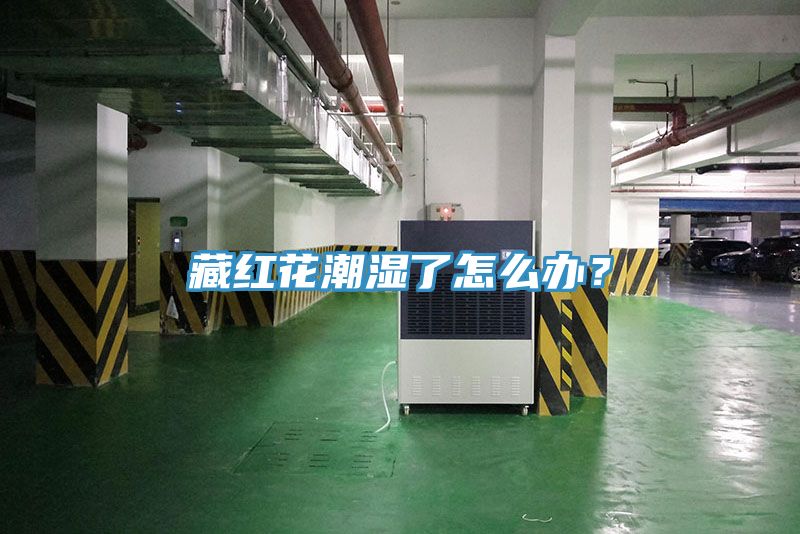 藏红花潮湿了怎么办？