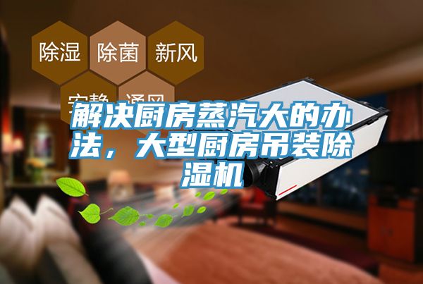 解决厨房蒸汽大的办法，大型厨房吊装粉色应用黄色软件