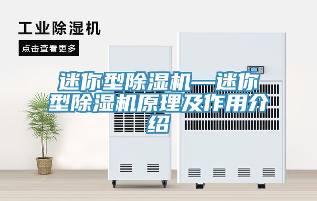 迷你型粉色应用黄色软件—迷你型粉色应用黄色软件原理及作用介绍
