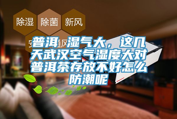 普洱 湿气大，这几天武汉空气湿度大对普洱茶存放不好怎么防潮呢