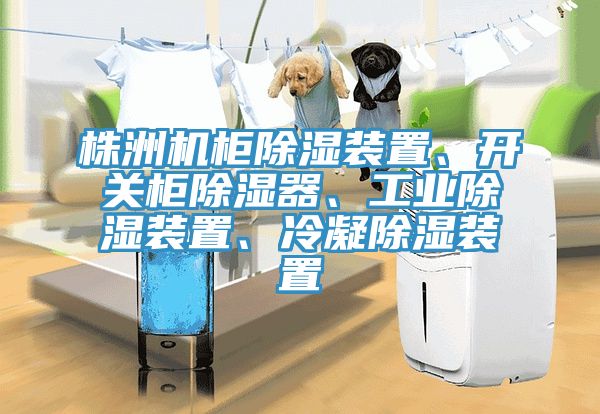 株洲机柜除湿装置、开关柜除湿器、工业除湿装置、冷凝除湿装置