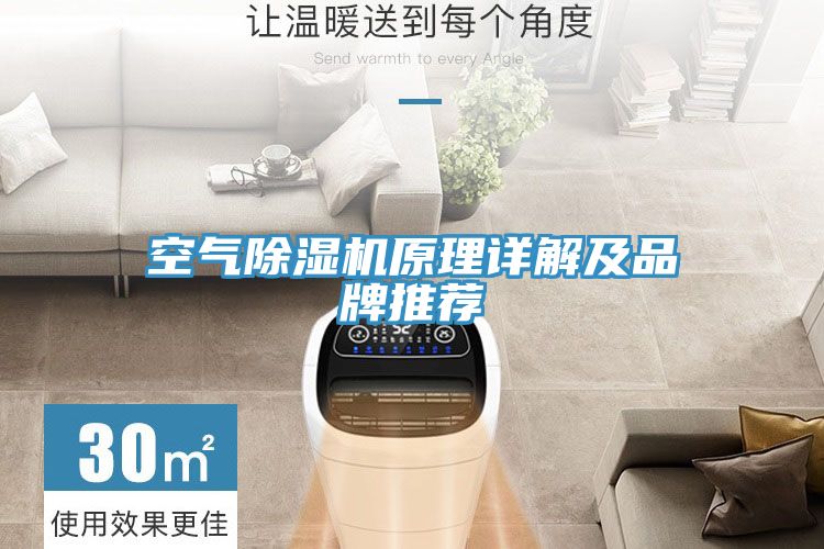 空气粉色应用黄色软件原理详解及品牌推荐