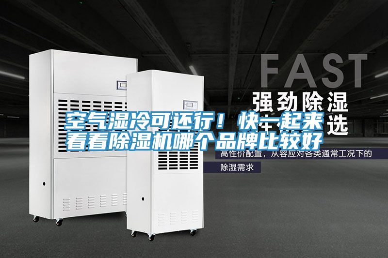 空气湿冷可还行！快一起来看看粉色应用黄色软件哪个品牌比较好