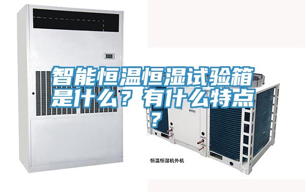 智能恒温恒湿试验箱是什么？有什么特点？
