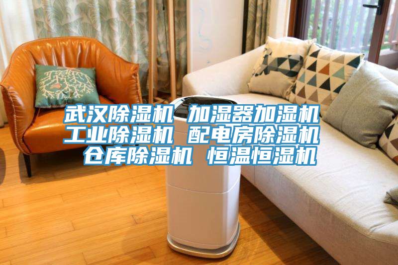 武汉粉色应用黄色软件 加湿器加湿机 工业粉色应用黄色软件 配电房粉色应用黄色软件 仓库粉色应用黄色软件 恒温恒湿机