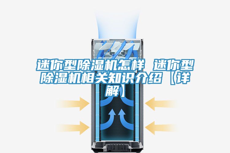 迷你型粉色应用黄色软件怎样 迷你型粉色应用黄色软件相关知识介绍【详解】