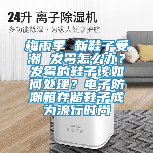 梅雨季 新鞋子受潮 发霉怎么办？发霉的鞋子该如何处理？电子防潮箱存储鞋子成为流行时尚