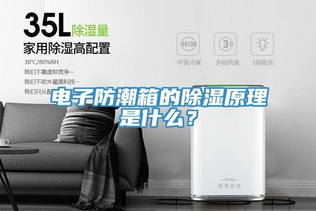 电子防潮箱的除湿原理是什么？
