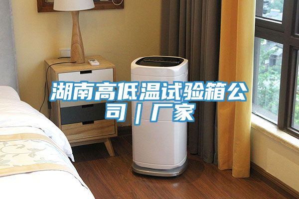 湖南高低温试验箱公司|厂家