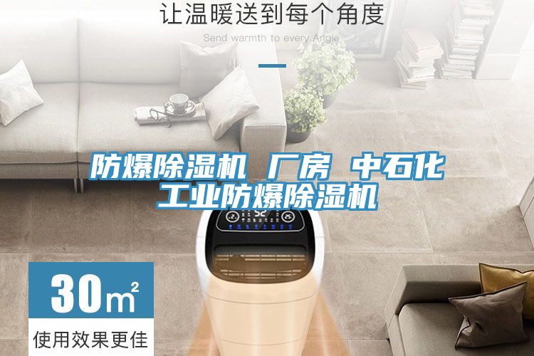 防爆粉色应用黄色软件 厂房 中石化工业防爆粉色应用黄色软件