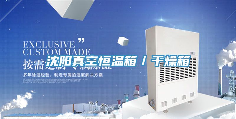 沈阳真空恒温箱/干燥箱