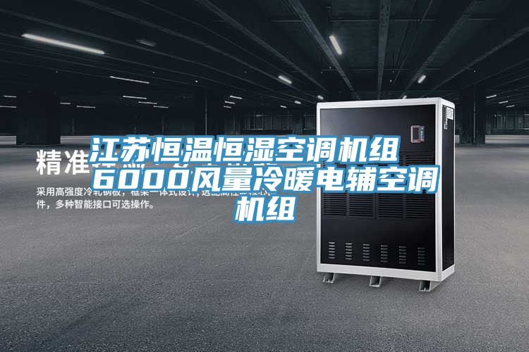 江苏恒温恒湿空调机组  6000风量冷暖电辅空调机组