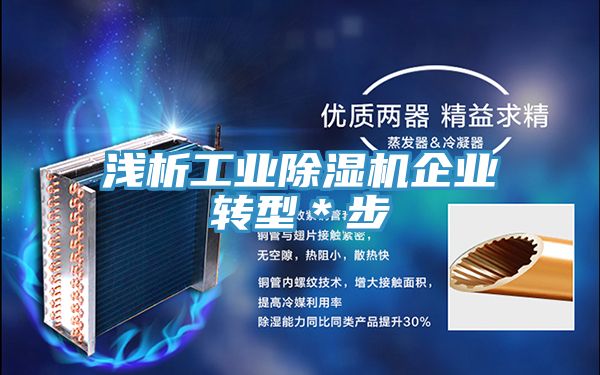 浅析工业粉色应用黄色软件企业转型＊步