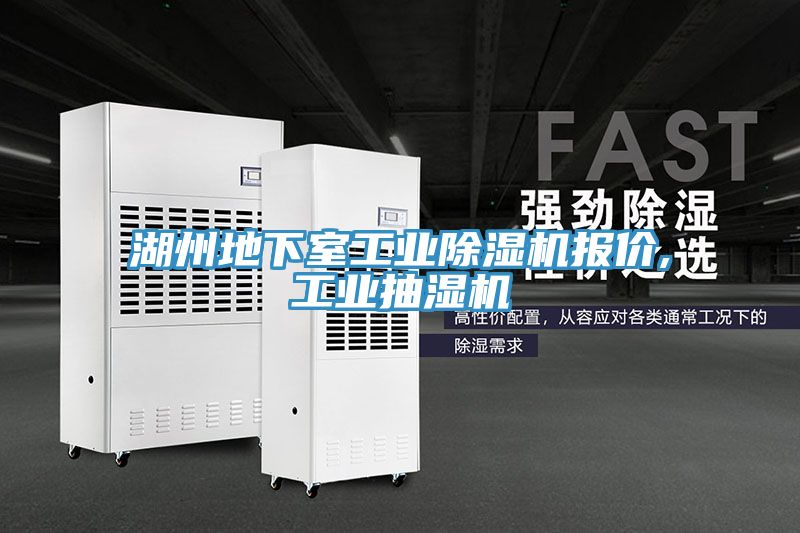 湖州地下室工业粉色应用黄色软件报价,工业抽湿机