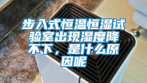 步入式恒温恒湿试验室出现湿度降不下，是什么原因呢