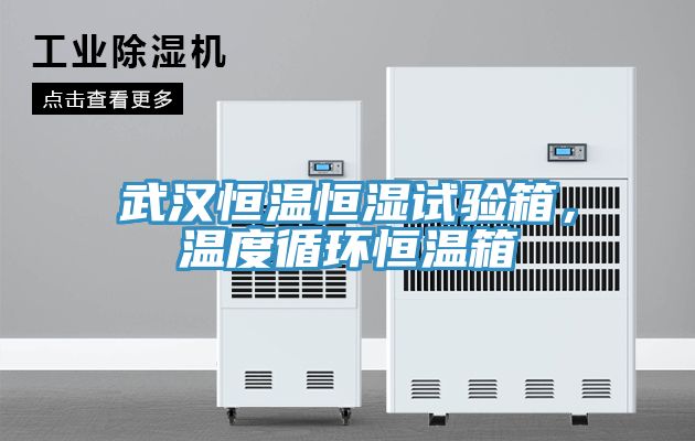 武汉恒温恒湿试验箱，温度循环恒温箱