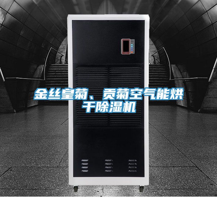 金丝皇菊、贡菊空气能烘干粉色应用黄色软件